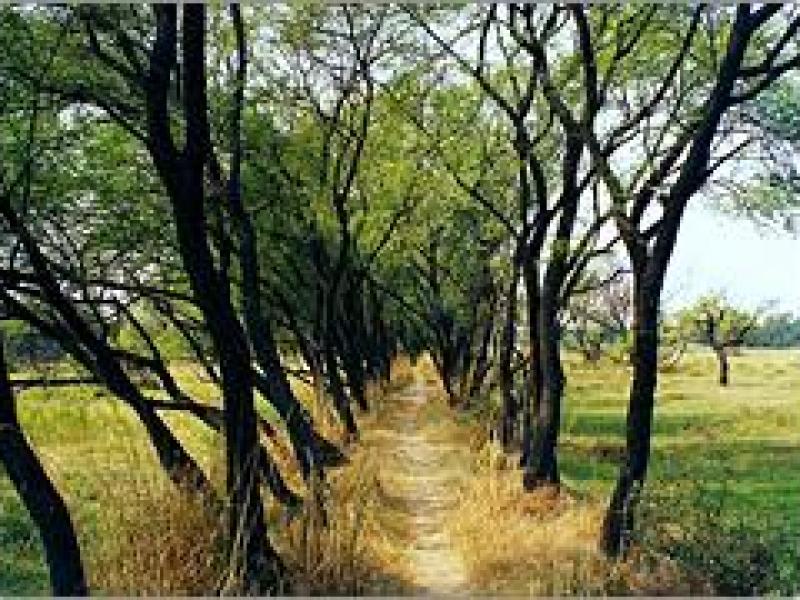 Bharatpur